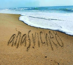 anasoviche8
